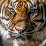 blog-2